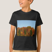 Fall Foliage