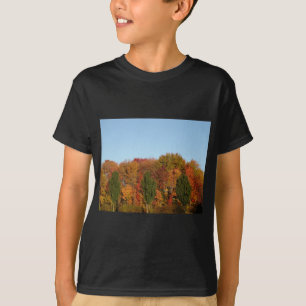 Fall Foliage T-Shirt