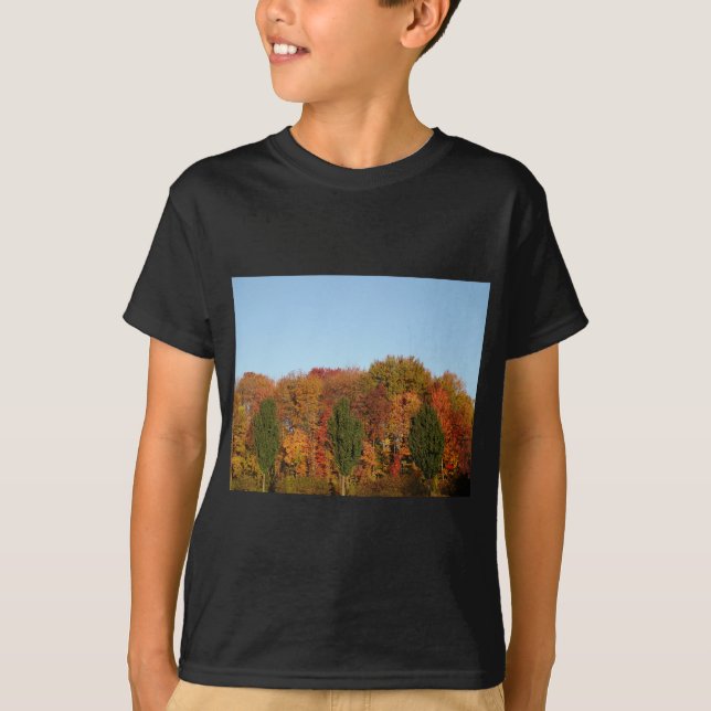 Fall Foliage T-Shirt (Front)