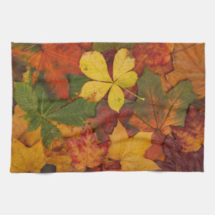 Fall Foliage Tea Towel