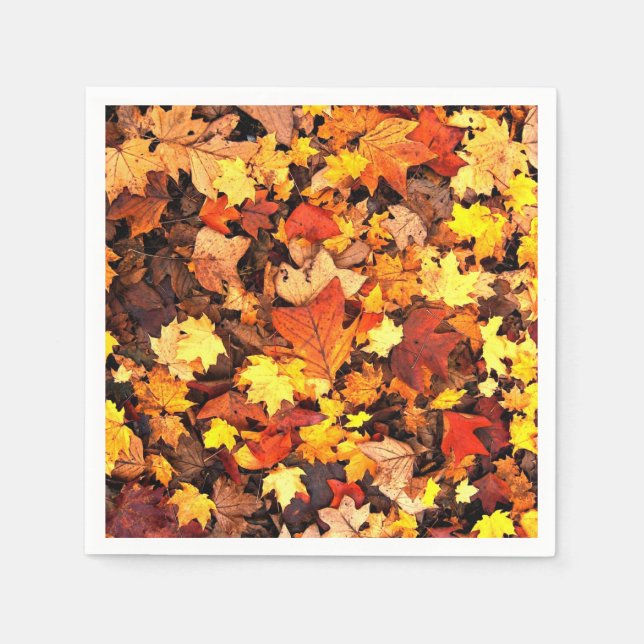 Fall foliage, the Colours of Autumn Napkin (Front)
