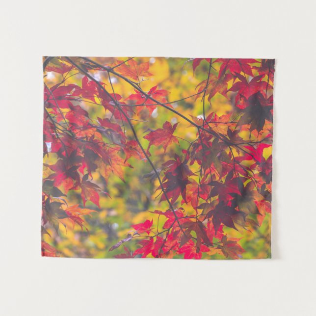 Fall Foliage Trees Nature SMALL Tapestry (Front (Horizontal))