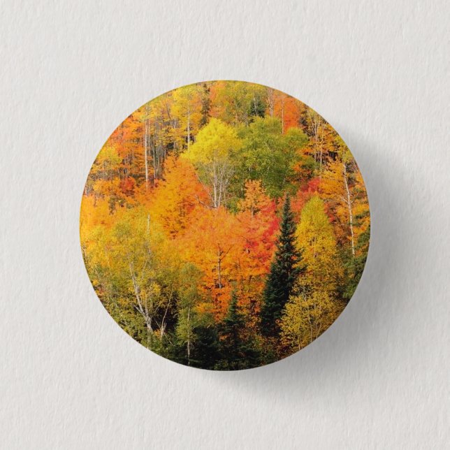 Fall Foliage Valley 3 Cm Round Badge (Front)