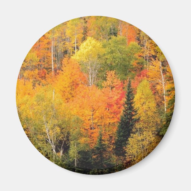 Fall Foliage Valley Magnet (Front)