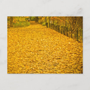 FALL FOLIAGE VAN CORTLANDT PARK NEW YORK POSTCARD
