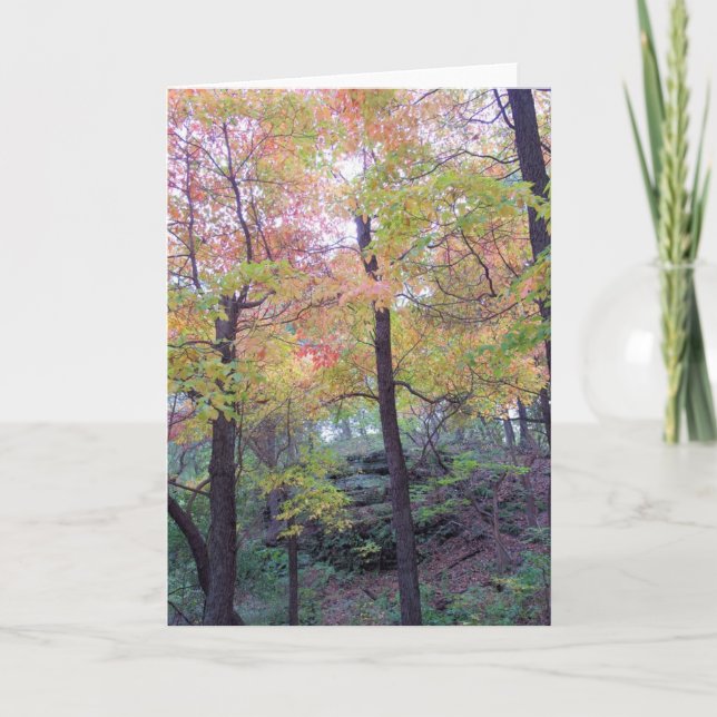 Fall Forest - Blank Inside Greeting Card (Front)