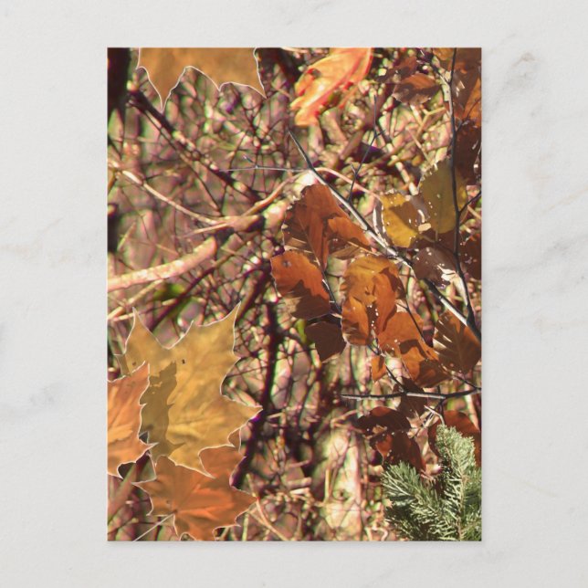 Fall Forest Bush Camouflage Postcard (Front)
