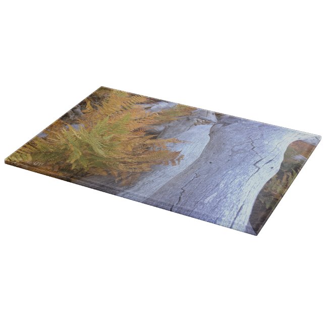 Fall Forest Cutting Board (Corner)