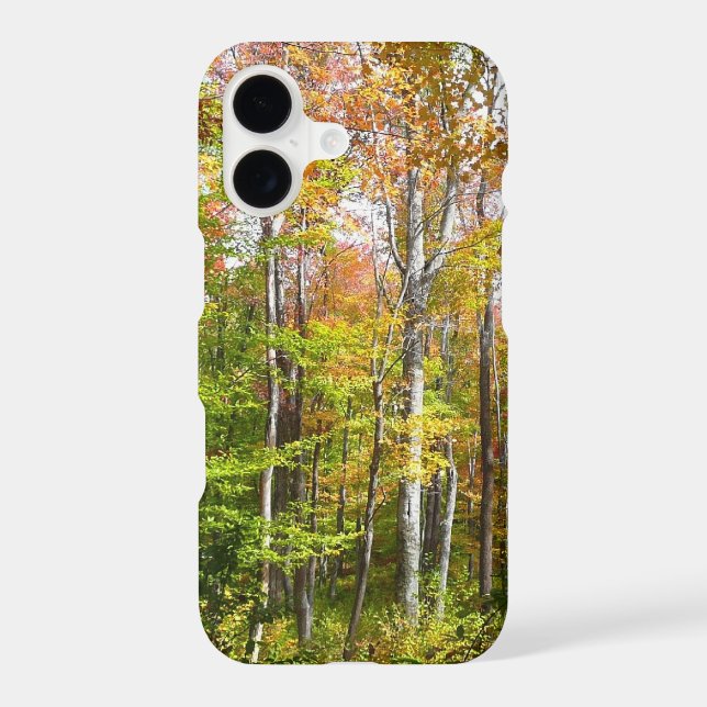 Fall Forest I Autumn Landscape Photography (Back)