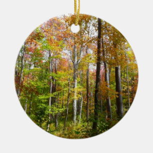 Fall Forest I Autumn Landscape Photography Ceramic Ornament