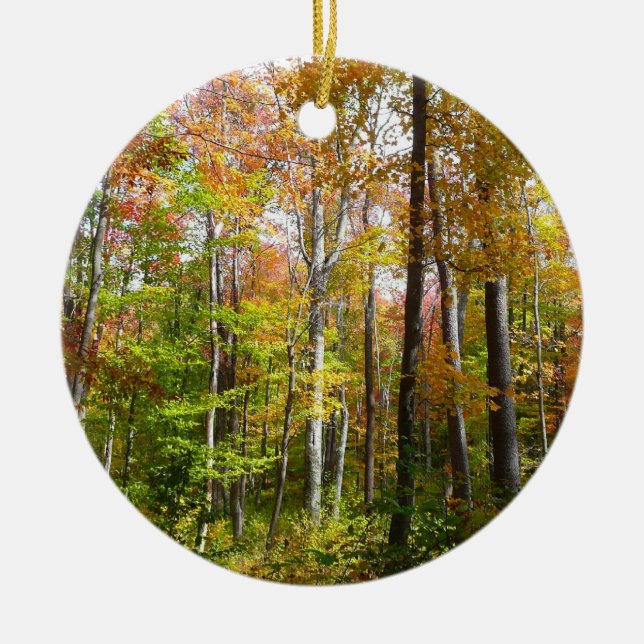 Fall Forest I Autumn Landscape Photography Ceramic Ornament (Front)