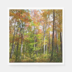 Fall Forest I Autumn Landscape Photography Napkin