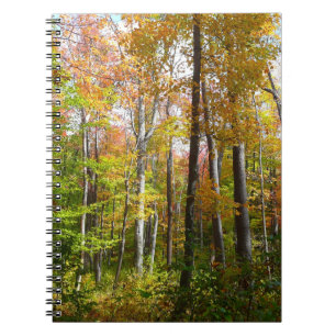 Fall Forest I Autumn Landscape Photography Notebook