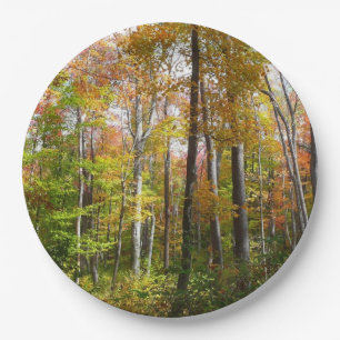 Fall Forest I Autumn Landscape Photography Paper Plate