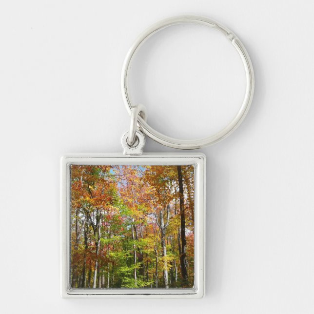 Fall Forest II Autumn Landscape Photography Key Ring (Front)
