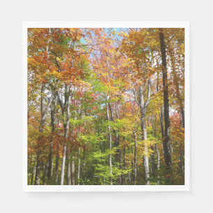 Fall Forest II Autumn Landscape Photography Napkin