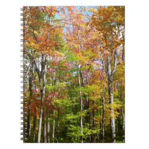 Fall Forest II Autumn Landscape Photography Notebook