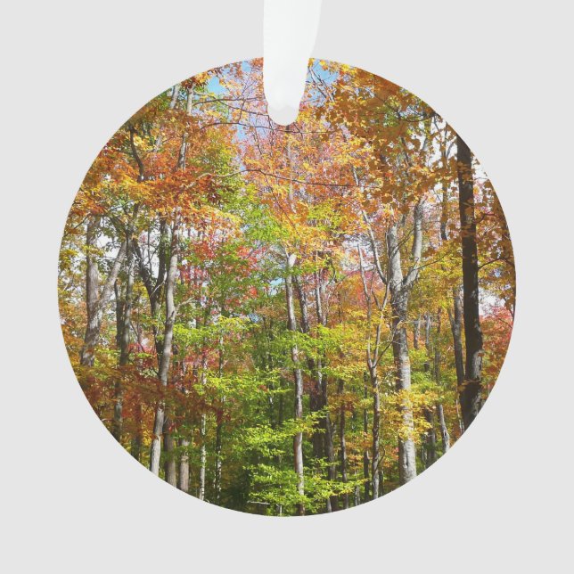 Fall Forest II Autumn Landscape Photography Ornament (Front)