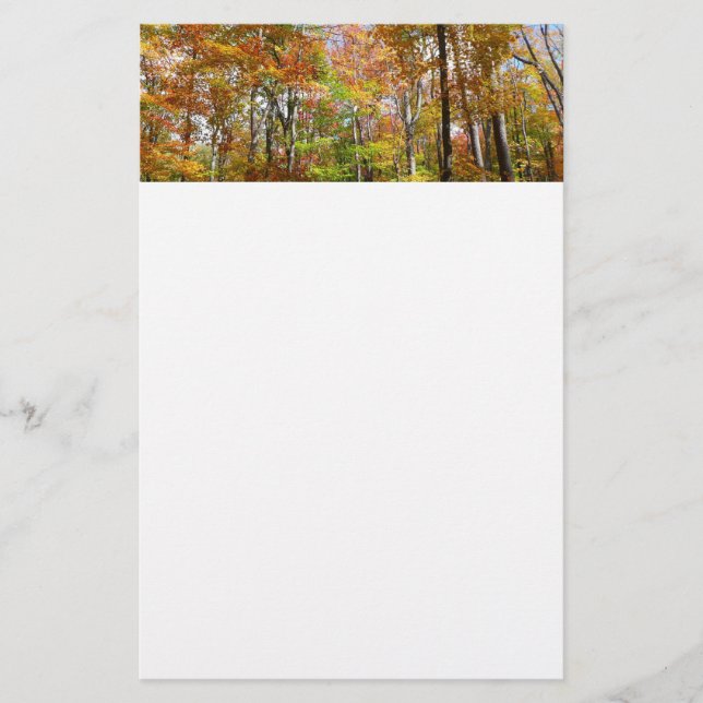 Fall Forest II Autumn Landscape Photography Stationery (Front)