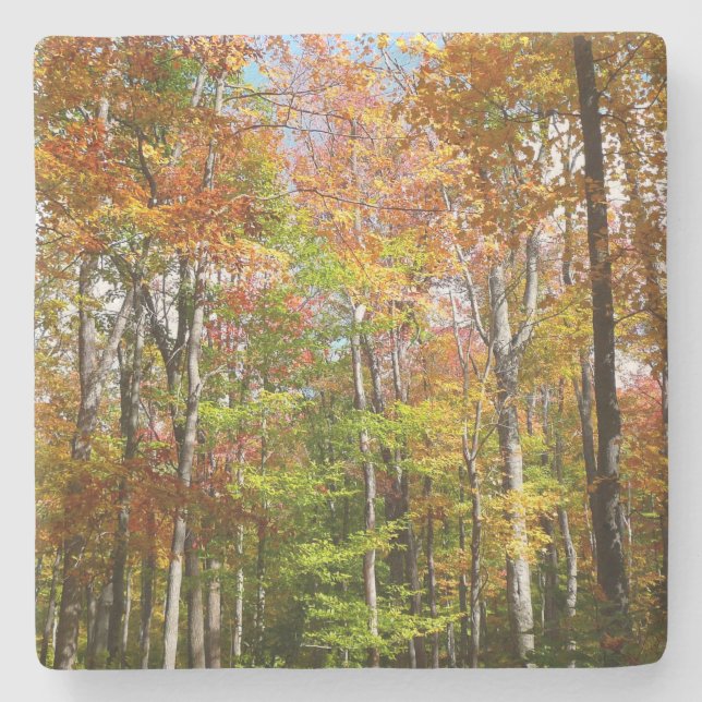 Fall Forest II Autumn Landscape Photography Stone Coaster (Front)