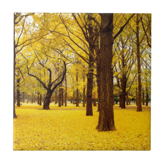 Fall forest scenery ceramic tile