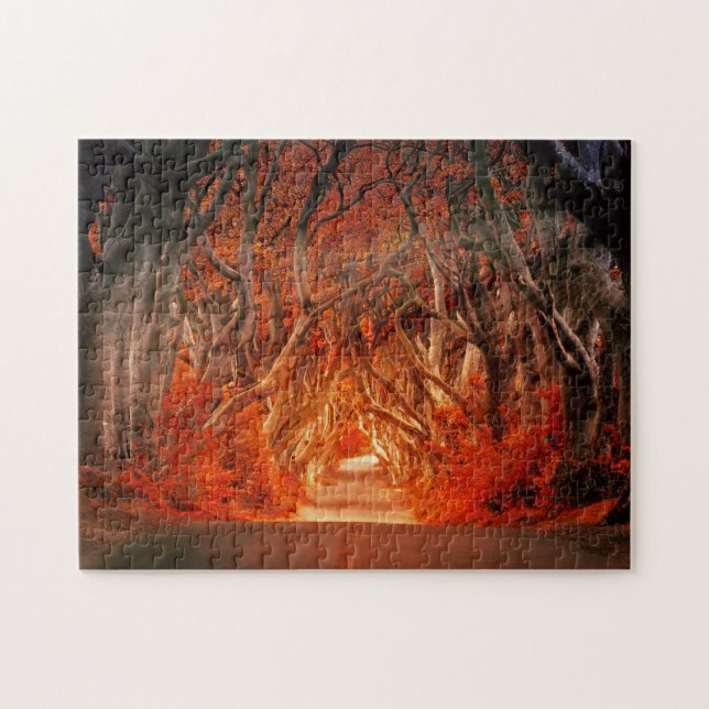 Fall forest sunlight fantasy landscape 11" x 14" jigsaw puzzle (Horizontal)