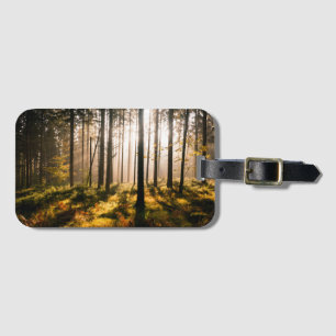 Fall Forest with Sunrays Luggage Tag