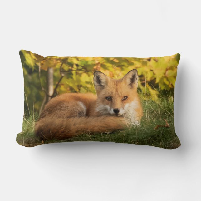 Fall Fox      Lumbar Cushion (Front)