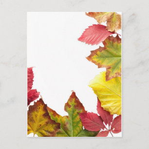 Fall frame postcard