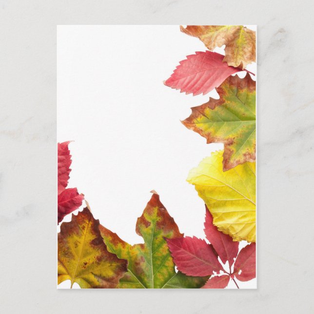 Fall frame postcard (Front)