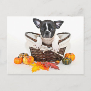 Fall French Bulldog Postcard