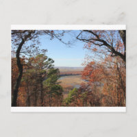 Fall From a Hilltop