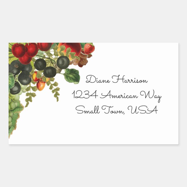 Fall Fruit Stickers (Front)