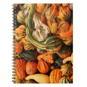 Fall Gourd Background Notebook