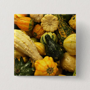 Fall Gourds 15 Cm Square Badge