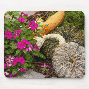 Fall gourds and impatiens flowers in garden. mouse pad