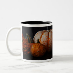 Fall Gourds and Pumpkin Two-Tone Coffee Mug