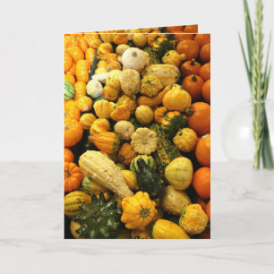 Fall Gourds Holiday Card