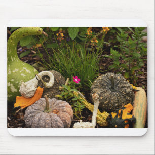 Fall Gourds in Garden Mouse Pad