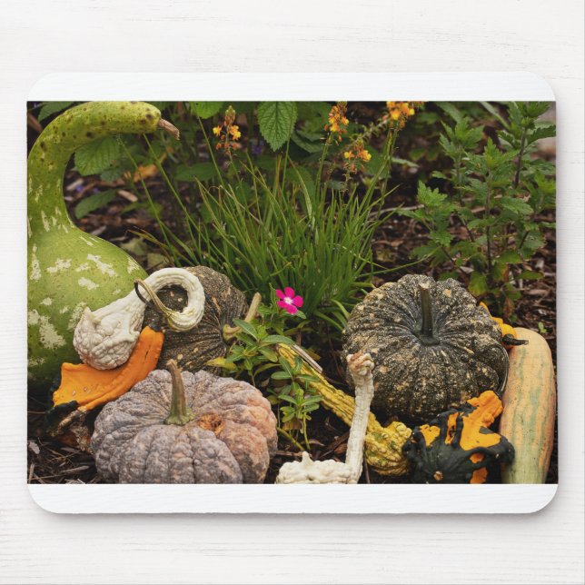 Fall Gourds in Garden Mouse Pad (Front)