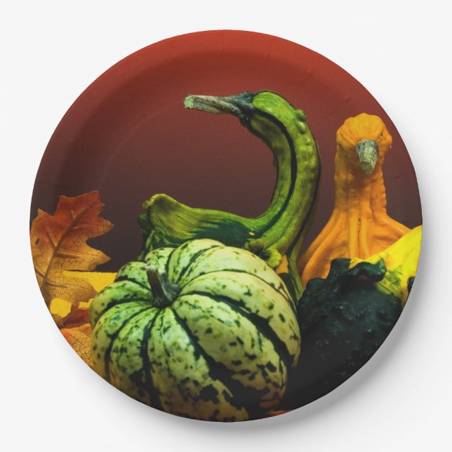 Fall Gourds Rustic Autumn Wedding Colours Paper Plate (Front)