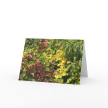 Fall Greeting Card