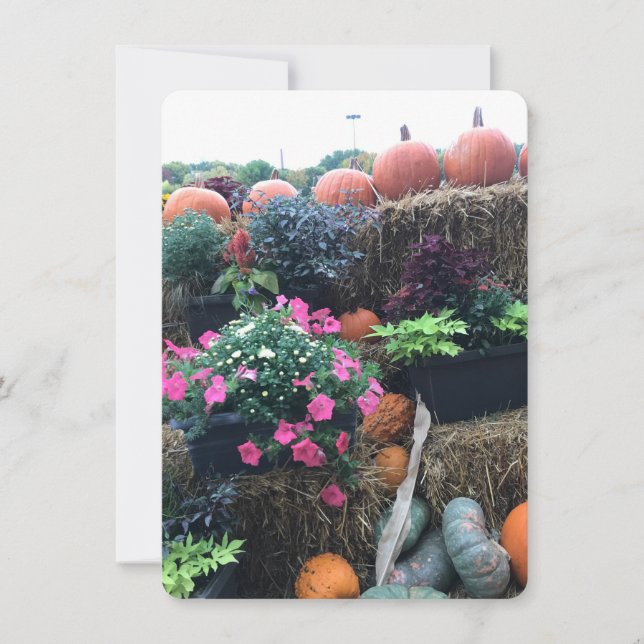 Fall Halloween Pumpkins Thank You Card (Front)