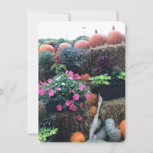 Fall Halloween Pumpkins Thank You Card