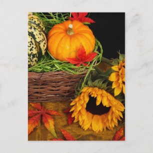 Fall Harvest Sunflowers Postcard
