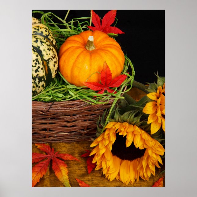 Fall Harvest Sunflowers   Poster (Front)