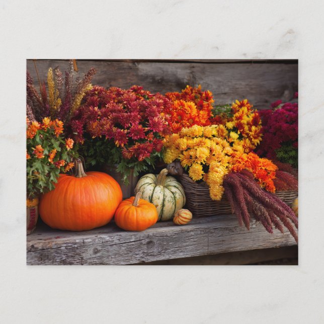 Fall Harvest Tablescape - Autumn Pumpkins Flowers Postcard (Front)