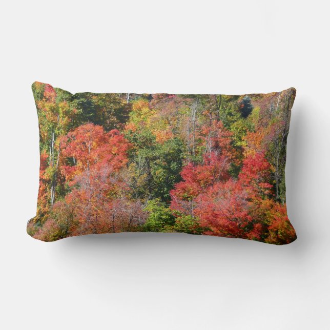 Fall Hillside Colourful Autumn Nature Photography Lumbar Cushion (Front)