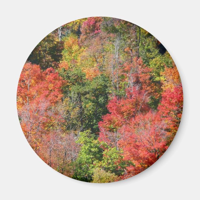 Fall Hillside Colourful Autumn Nature Photography Magnet (Front)