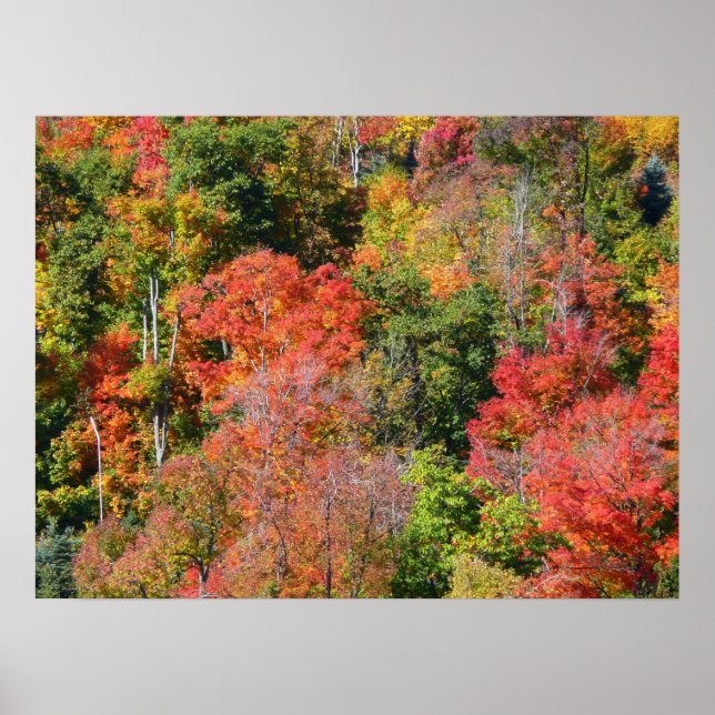 Fall Hillside Colourful Autumn Nature Photography Poster (Front)